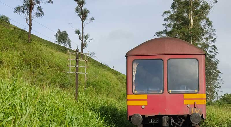 ரயிலில் அடிபட்டு நான்கு யானைகள் உயிரிழப்பு