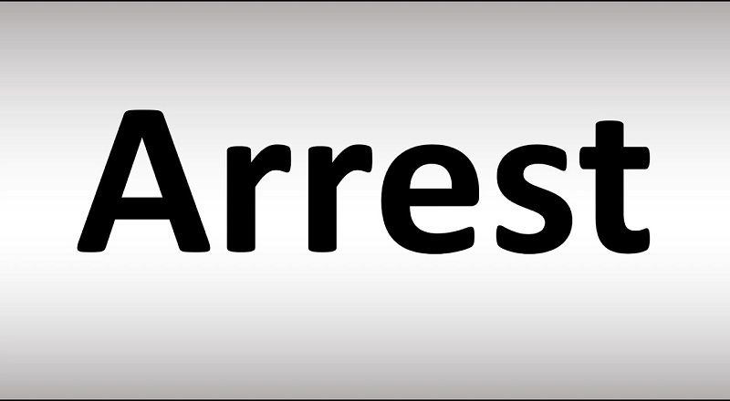 மான் கறி தயாரித்துக்கொண்டிருந்த 17 வயது சிறுமி கைது