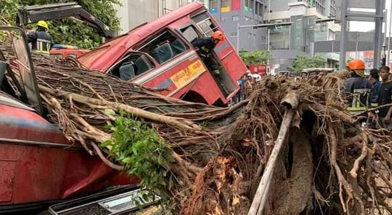 கொள்ளுப்பிட்டியில் பஸ் மீது மரம் விழுந்து விபத்து:  ஐந்து பேர் உயிரிழப்பு! 17 பேர் வைத்தியசாலையில்