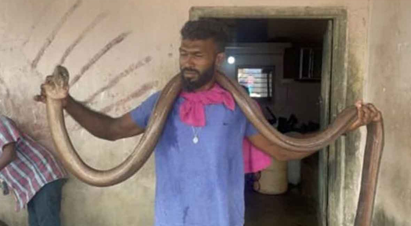 மன்னார் மீனவனின் வலையில் சிக்கிய 10 அடி நீளமான விலாங்கு மீன்