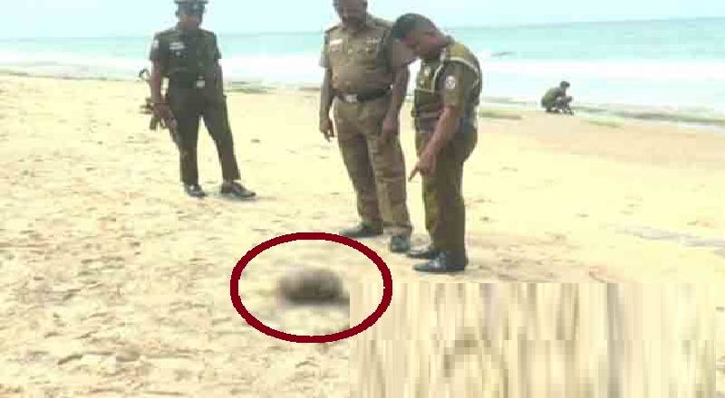 கடற்கரையில் வீசப்பட்டிருந்த மனித தலையால் பரபரப்பு!