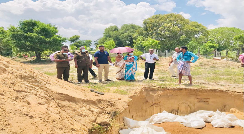 கல்முனையில் பாவனைக்கு தகுதியற்ற 2500 கிலோ கொத்தமல்லி அழிப்பு