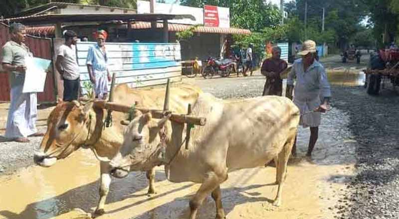 யாழ்ப்பாண விதியொன்றில் வினோத போராட்டம்! சிறுவர்களும் பங்கேற்பு