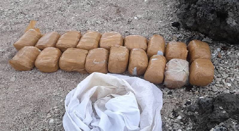 அனலைதீவில் மீட்கப்பட்ட பல மில்லியன் பெறுமதியான கஞ்சா!