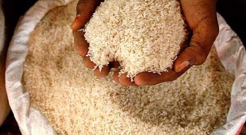 நாட்டில் கீரி சம்பா அரிசிக்கு  எந்த  தட்டுப்பாடும் கிடையாது! விவசாய அமைச்சர்