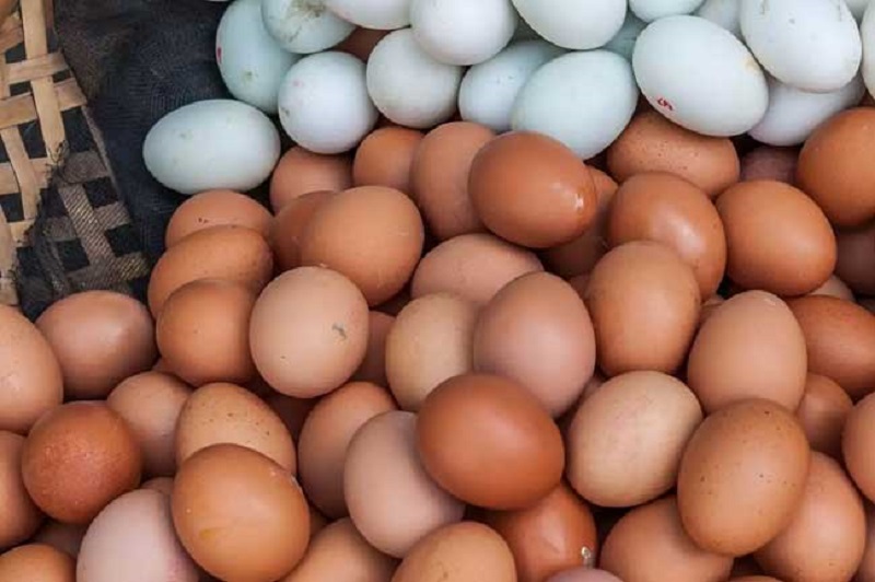 பண்டிகைக் காலத்தில் முட்டையின் விலை தொடர்பில் வெளியான அறிவிப்பு!