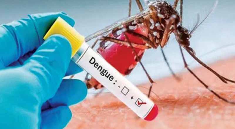 உலகளவில் டெங்கு நோய் பரவும் நாடுகளில் இலங்கையும் முதல்நிலையில்!