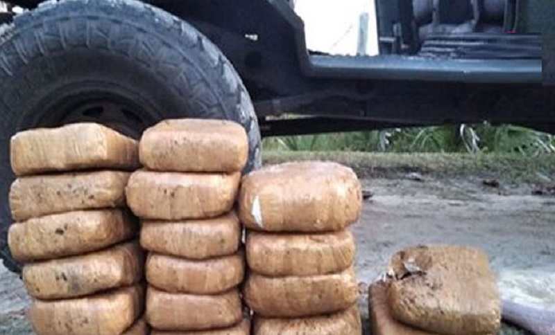 யாழில் மீட்கப்பட்ட கோடிக்கணக்கான கஞ்சா!