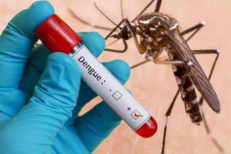 யாழில் சடுதியாக அதிகரித்துள்ள டெங்கு மரணங்கள்!