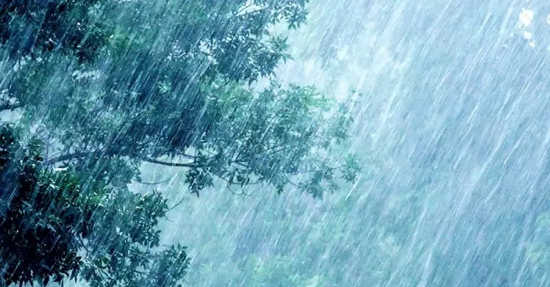 வடக்கு மற்றும் கிழக்கில் மழைக்கு சாத்தியம்! வளிமண்டலவியல் திணைக்களம்