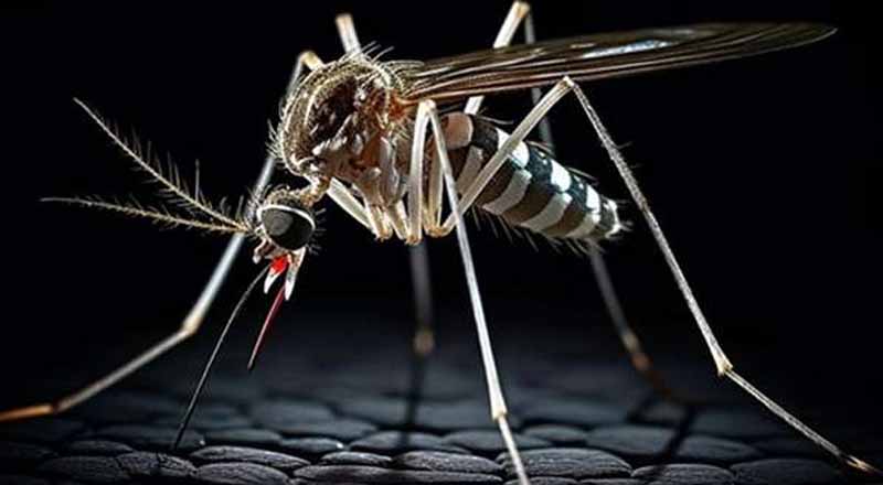 பத்து மாவட்டங்கள்  அதிக ஆபத்தான பகுதியாக பதிவு!