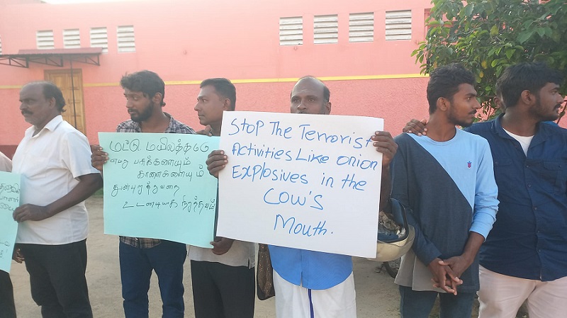 பட்டிப் பொங்கல் தினம் வடக்கு, கிழக்கில் கரி நாள்!