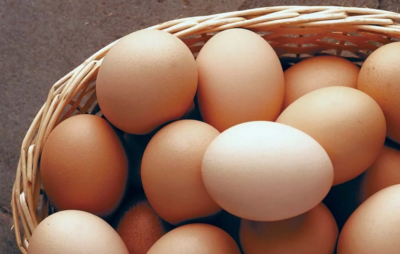 முட்டை தொடர்பில் எடுக்கப்பட்டுள்ள நடவடிக்கை!