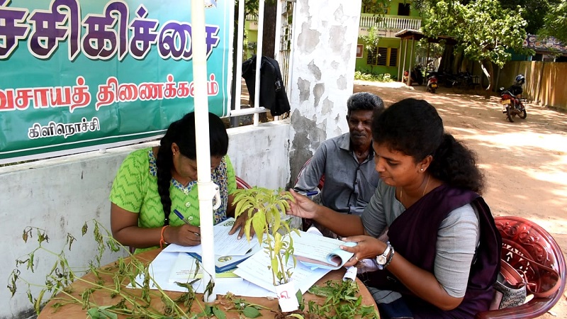 கிளிநொச்சியில் பயிர்ச் சிகிச்சை முகாம்!
