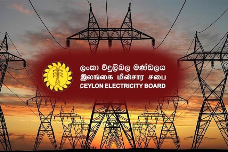 மின்சார சபையின் நிர்வாகத்தை தனியார் மயமாக்க நடவடிக்கை!