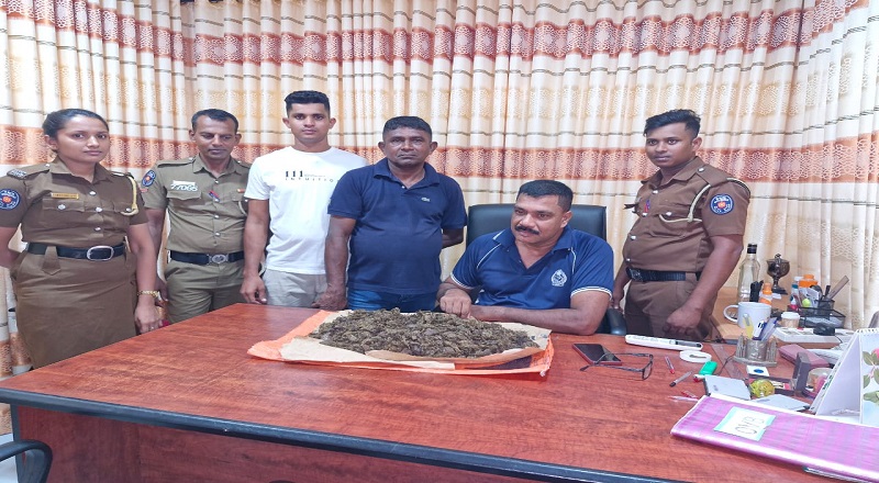 தேசிய புலனாய்வு பிரிவின் தகவலிற்க்கமைவாக மந்திகையில் கஞ்சாவுடன் ஒருவர் கைது
