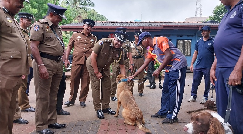 நெதர்லாந்தில் இருந்து இலங்கைக்கு கொண்டுவரப்பட்ட 35 மோப்ப நாய்கள்