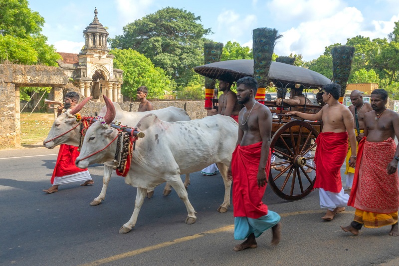 நல்லூர் கந்தசுவாமி ஆலய மகோற்சவ காளாஞ்சி கையளிக்கும் நிகழ்வு!