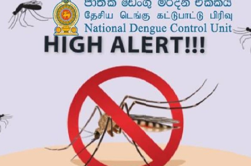 டெங்கு நோயாளர்களின் எண்ணிக்கை திடீர் அதிகரிப்பு! தேசிய டெங்கு கட்டுப்பாட்டுப் பிரிவு எச்சரிக்கை