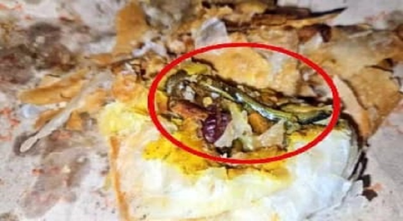 சிற்றுண்டியில் பாம்புக் குட்டி; பெண் அதிர்ச்சி