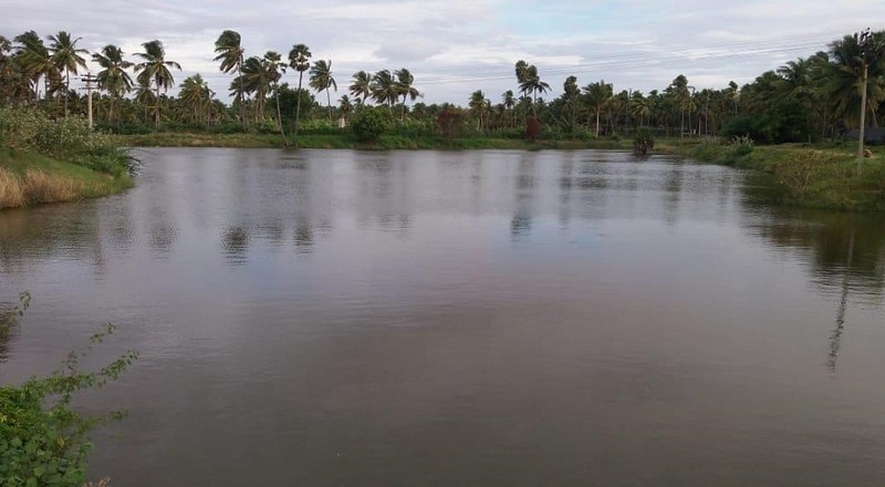 யாழில் -  இளைஞர் ஒருவர் நீரில் மூழ்கி உயிரிழந்துள்ளார்!