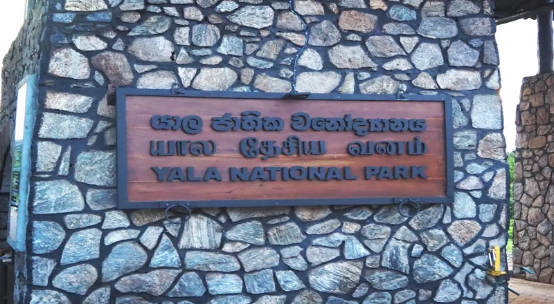 யால தேசிய பூங்காவின் முதலாம், இரண்டாம் வலயங்கள் மீண்டும் திறப்பு!