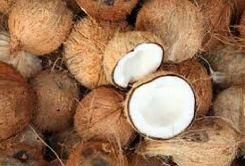 தேங்காய் விலை மேலும் உயரும் அபாயம்!