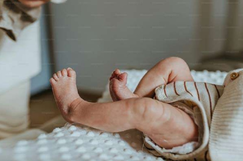 நாய் ஒன்றினால் இழுத்துச் செல்லப்பட்ட சிறு குழந்தையின் கால்! விசாரணைகளை தீவிரப்படுத்திய பொலிஸார்