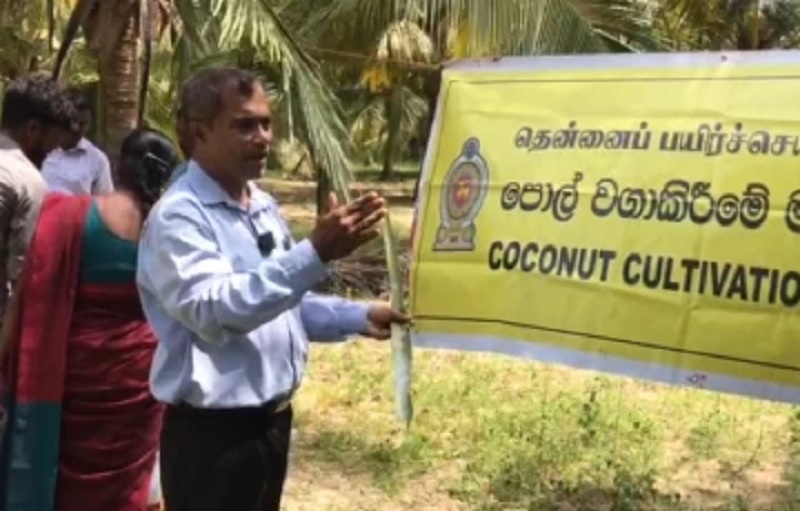 கிளிநொச்சியில் தெங்கு பயிர்ச் செய்கை சபையால் வெளியேற்றப்பட்ட மக்கள்