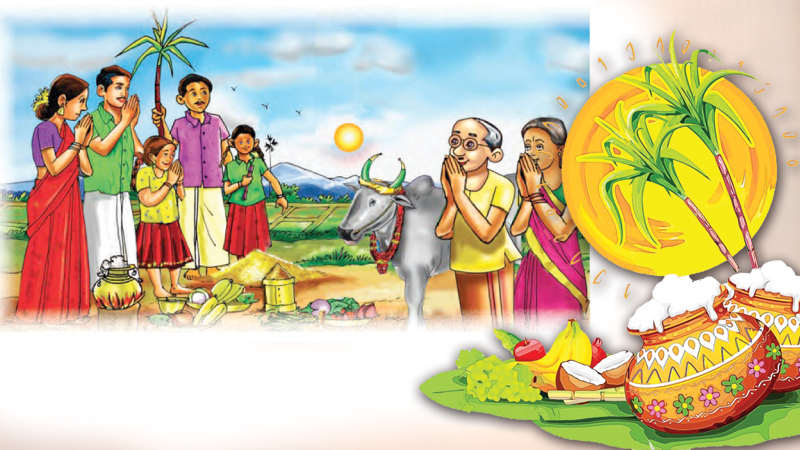 தைப்பொங்கல் பண்டிகை இன்று! உறவுகள் அனைவருக்கும் தைத் திருநாள் நல் வாழ்த்துக்கள்