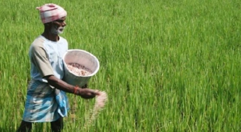 விவசாய அமைச்சின்  முக்கிய தீர்மானம்!