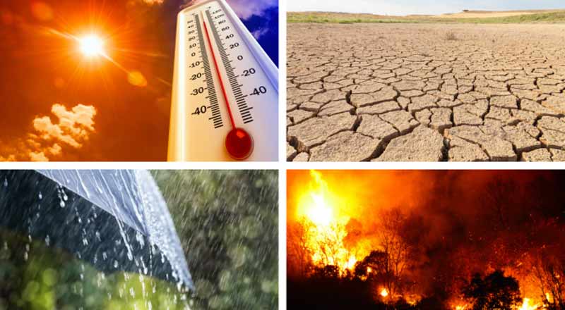 காலநிலை மாற்றங்களினால் தத்தளிக்கும் உலகம்