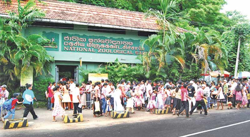 தெஹிவளை மிருகக்காட்சிசாலையை இலவசமாக பார்வையிட வாய்ப்பு